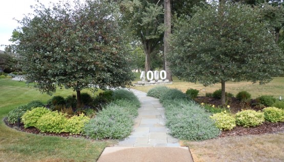 Bluestone walk and plantings in St Louis Park
