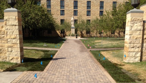 Willow Creek brickstone walk in St. Paul